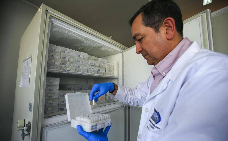 El investigador y profesor de la Pontificia Universidad Católica de Ecuador (PUCE), Javier Carvajal, revisa los componentes de una cerveza rescatada.