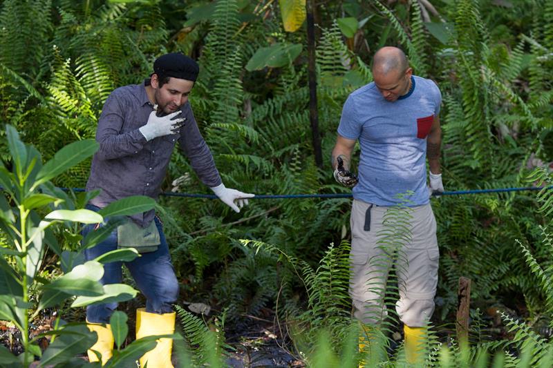 Calle 13 pidió defender la selva ecuatoriana durante concierto