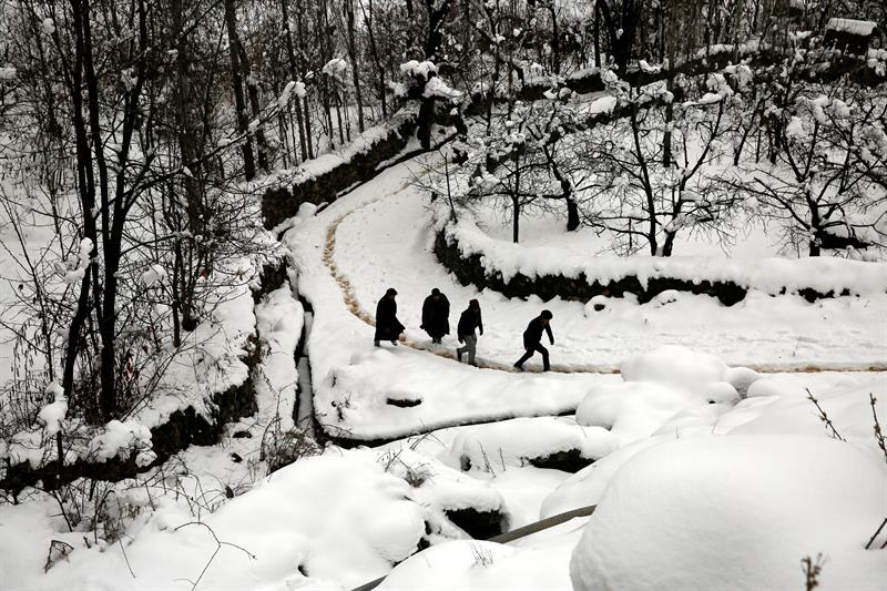 Al menos 33 personas han muerto por la ola de frío que afecta Europa