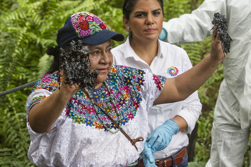 Premio Nobel de la Paz convoca a personalidades a campaña contra Chevron
