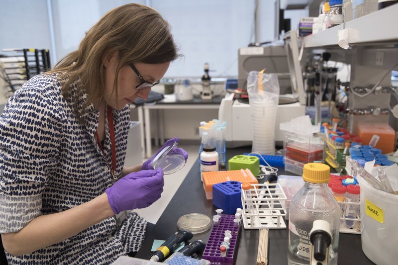 Descubren una nueva enfermedad mortal en los hombres