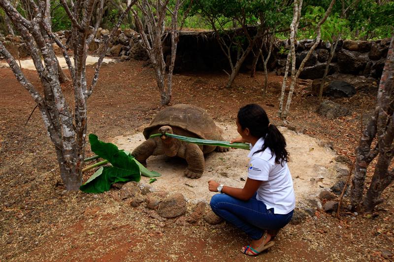 El archipiélago de Galápagos se vuelca en defensa de sus lobos marinos