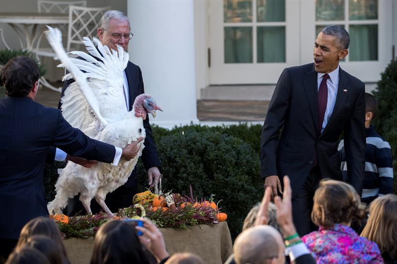 Obama indulta últimos pavos de Acción de Gracias como presidente