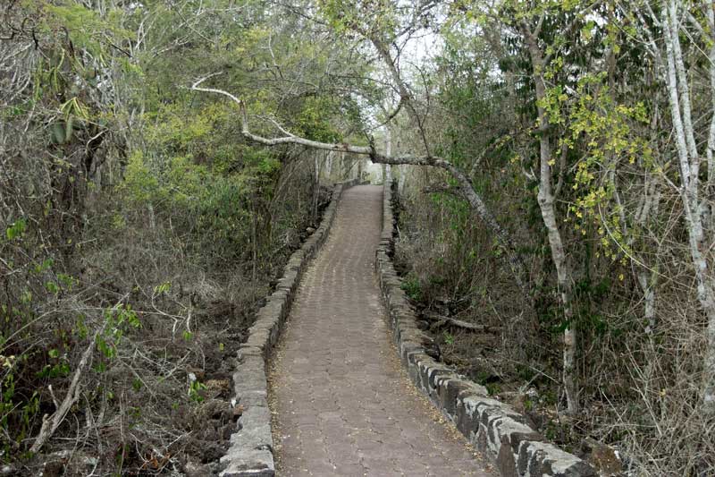 Ecuador cierra el acceso a todas las áreas protegidas