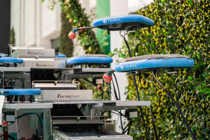 Israel implementa drones para la cosecha de frutas