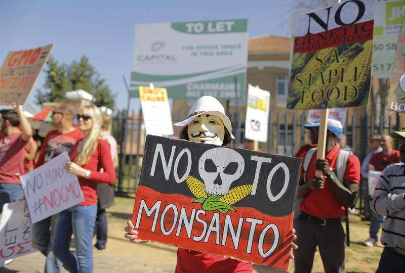 Miles de personas protestan contra las semillas transgénicas de Monsanto