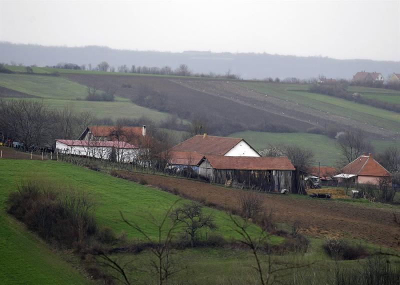 Masacre en Serbia deja trece muertos