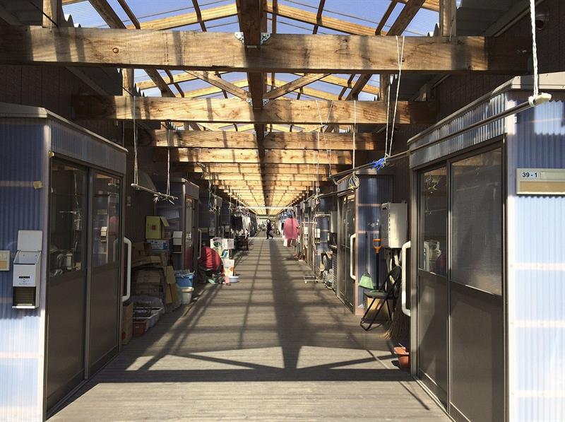 Iwate, la región olvidada bajo la sombra del tsunami