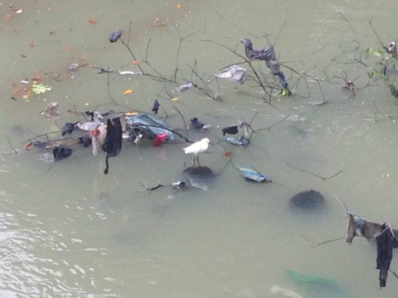 Guayaquil: Hallan a hombre decapitado en el estero Salado