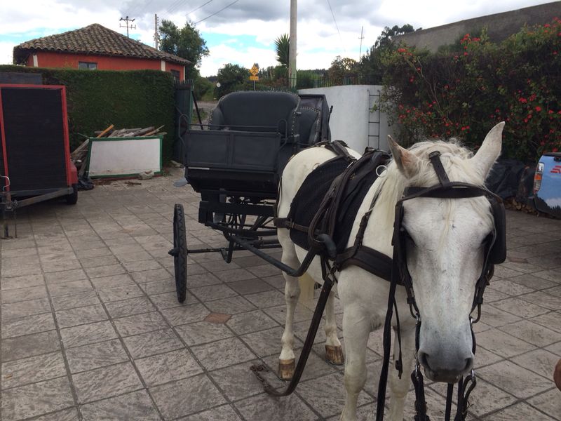 Hacienda La Estación, un sitio lleno de tradición, leyenda y paisaje