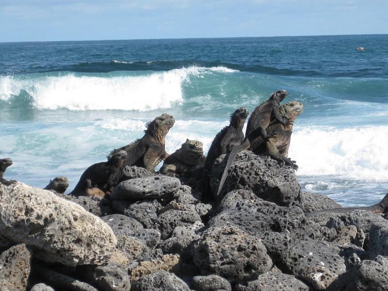 Isla Santa Cruz recibe reconocimiento por turismo sostenible