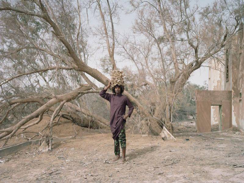 Sony World Photography Awards 2023: las imágenes ganadoras de los reconocidos premios de fotografía