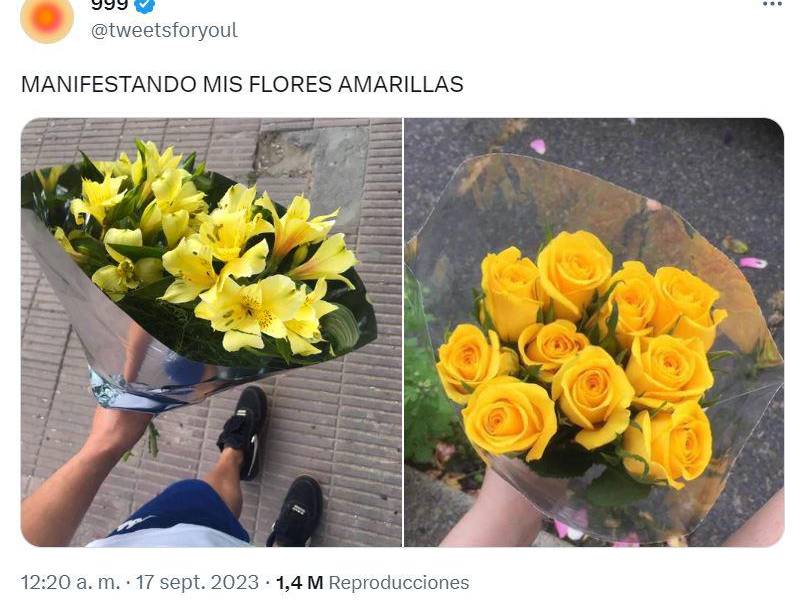 Flores amarillas: ¿Por qué se regalan este 21 de septiembre?