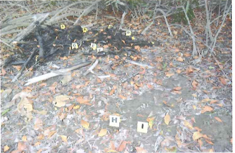 Los restos de los cuatro menores fueron encontrados en un manglar de Taura, en la zona de Casas de Zinc.