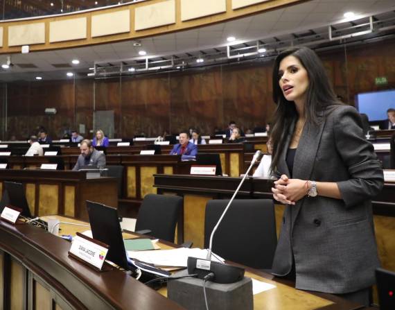 Diana Jácome, quien impulsa la reforma al COIP, en el Pleno de la Asamblea.