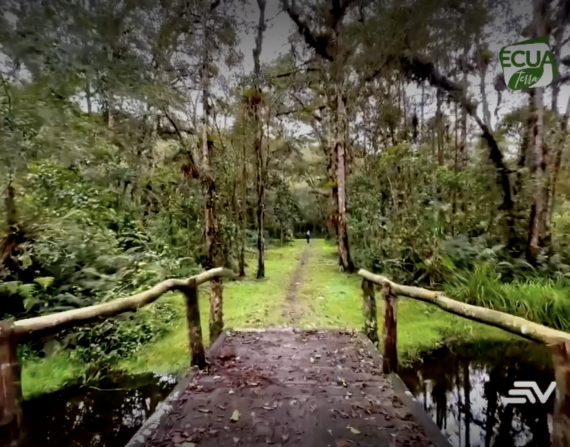 Día de la Tierra: La Reserva Hemisferios es un paraíso de la biodiversidad a 3 horas de Quito
