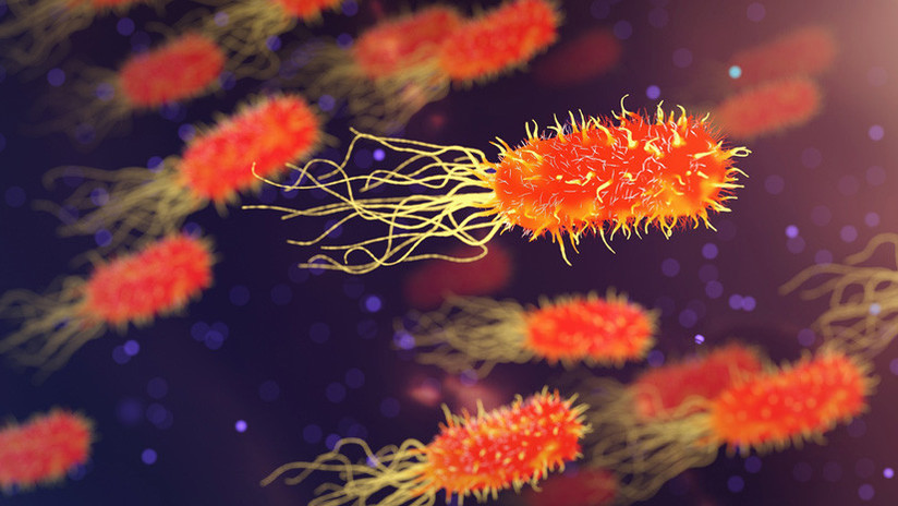 Bacteria carnívora mata a 7 personas en California en dos meses