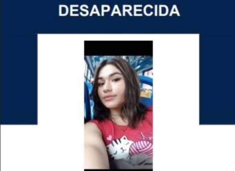 El afiche con información de la chica desaparecida.
