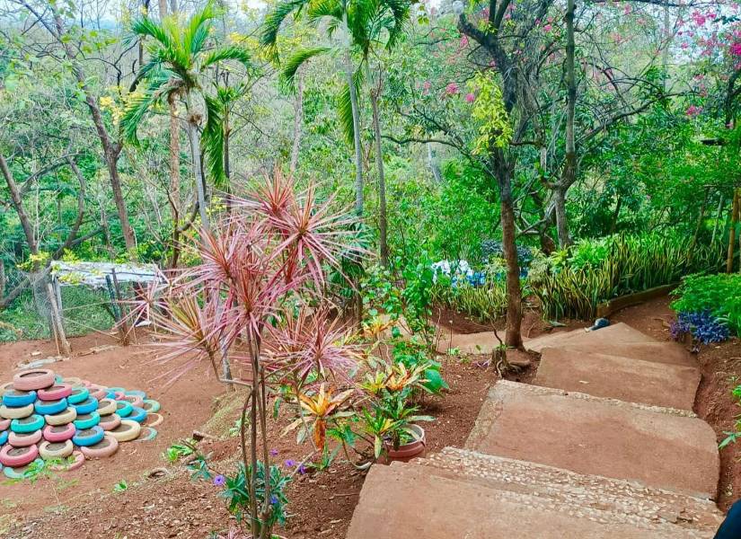 Una variedad de especies de plantas se pueden encontrar en el Jardín Botánico Guayaquil.