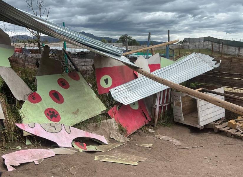 Los techos de las perreras se desprendieron por el viento.