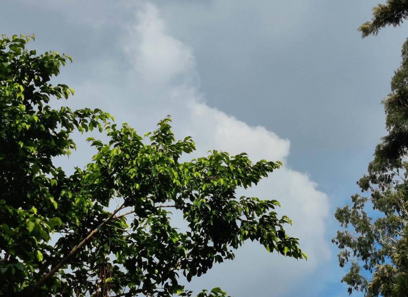 ¿Dónde podría viajar este feriado en Ecuador?