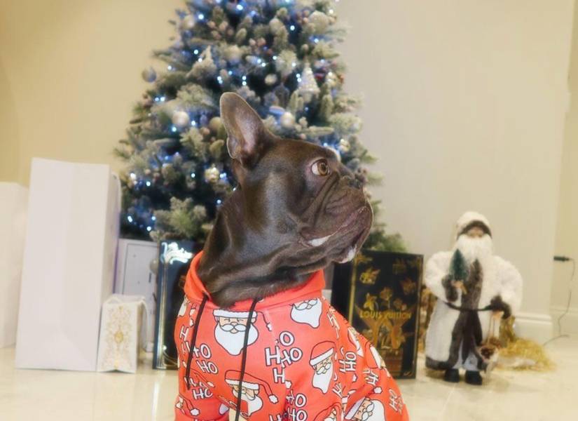 Piero Hincapié pasó con su perro Luca en Navidad.