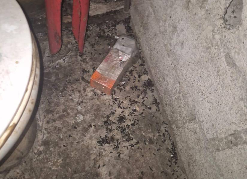 Suciedad en la cocina de un chifa en el centro de Guayaquil, clausurado por Arcsa.