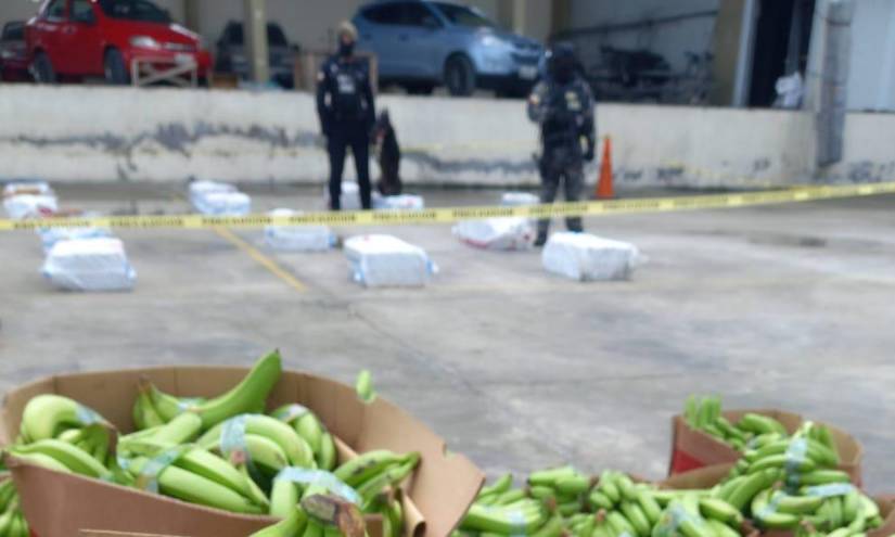 Cajas de banano contaminadas con clorhídrico de cocaína.