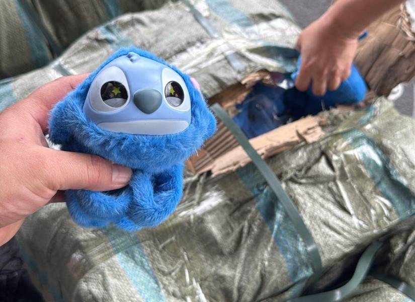Peluches no declarados en la Aduana.