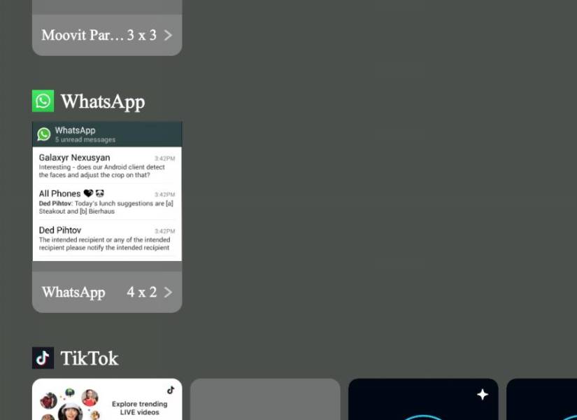 Widget de WhatsApp en la pestaña homónima.