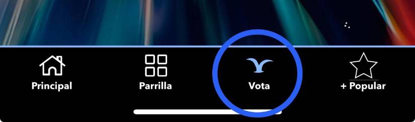 Sección donde hay que votar