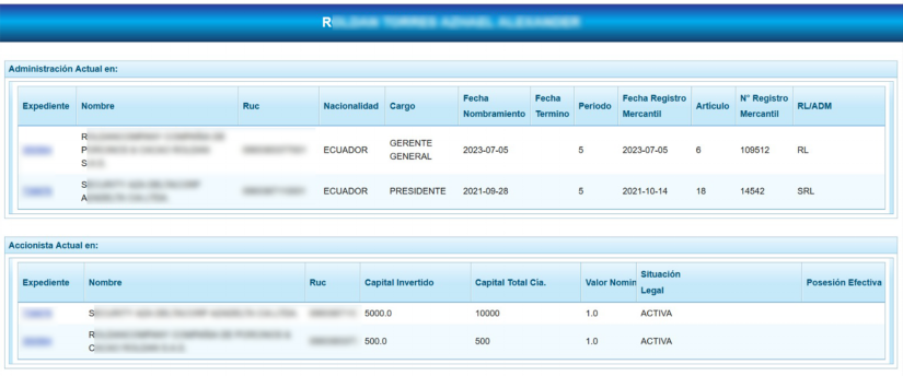 Captura de pantalla del registro de empresas de Azahel R.