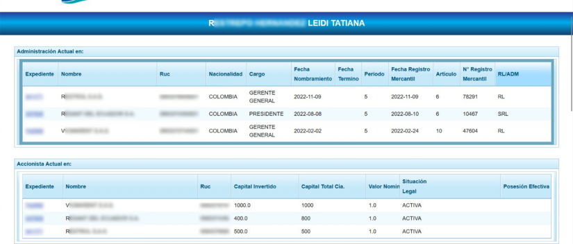 Captura de pantalla del registro de las empresas de Leidi R.