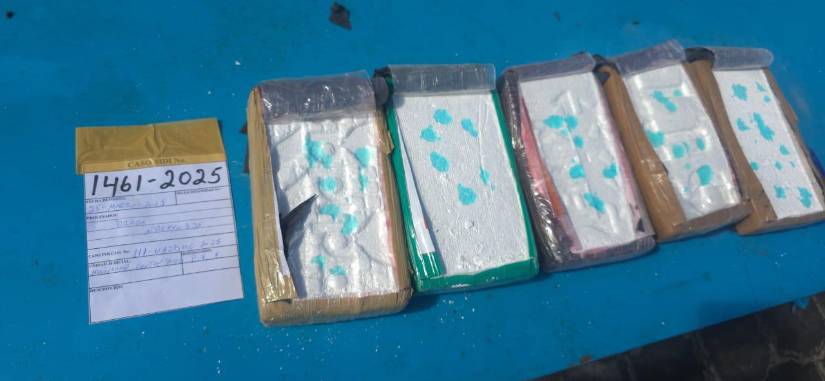 Previo a la destrucción de droga, los bloques son sometidos nuevamente a pruebas químicas para constatar que sean de cocaína.