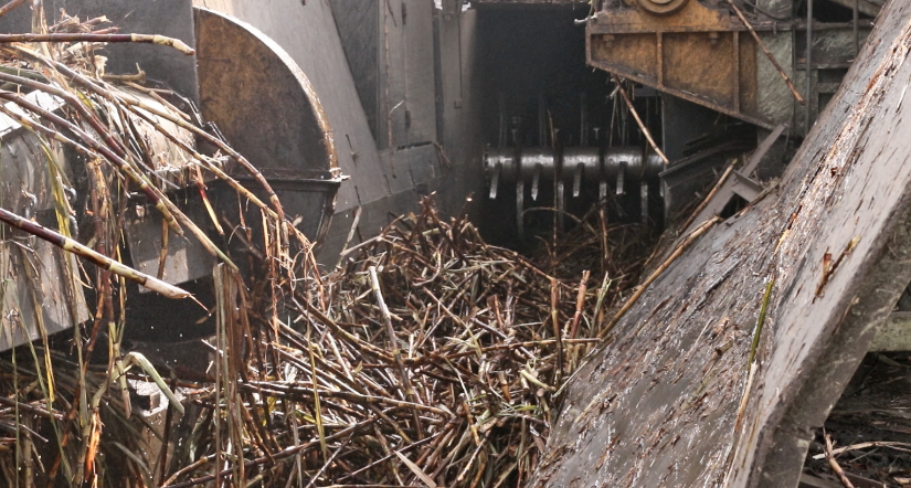Ecuador produce etanol a partir de la caña de azúcar. En el cantón Marcelino Maridueña, en Guayas, una planta azucarera también produce la sustancia.