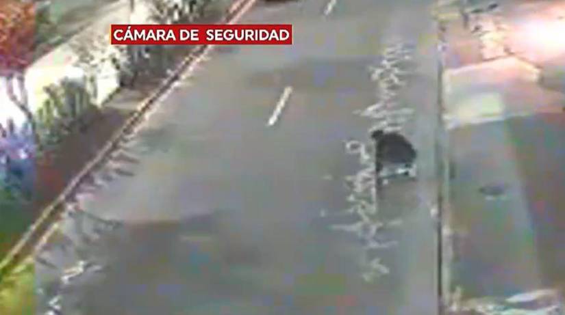 Estudiante universitario cayó sobre la vía.