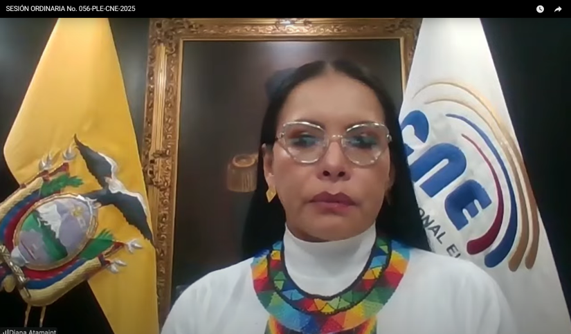 Sesión virtual del CNE