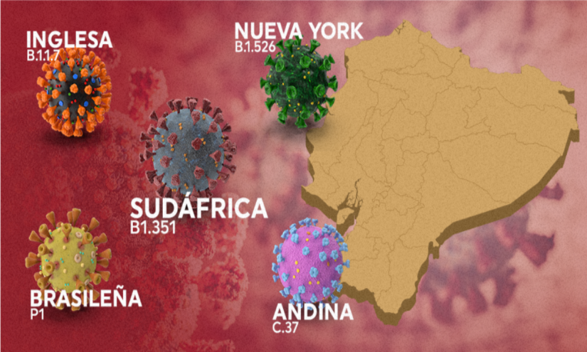 5 variantes de Covid-19 circulan en Ecuador, 3 son de preocupación