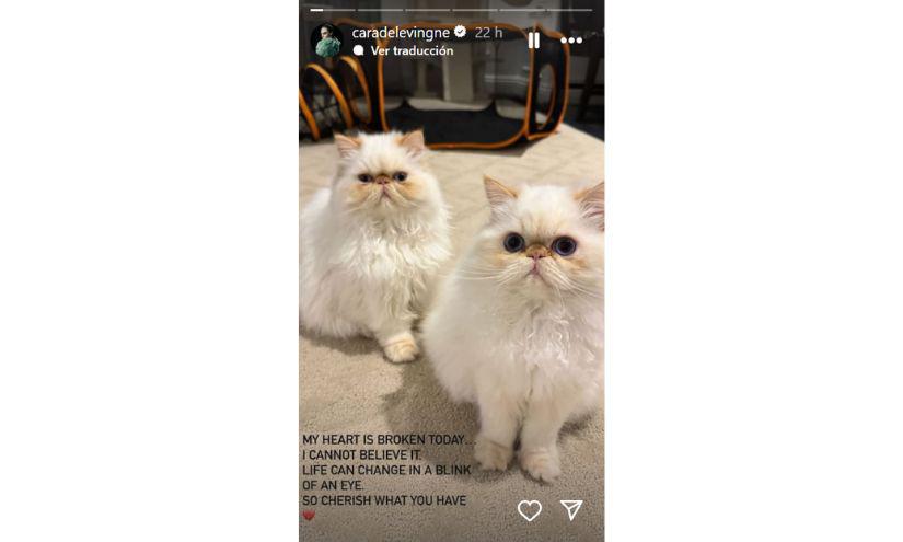 La actriz Cara Delevingne reacciona al voraz incendio que destruyó su casa en Los Ángeles