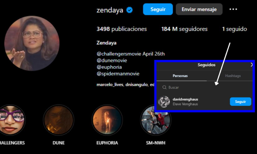 Captura del perfil de Zendaya.