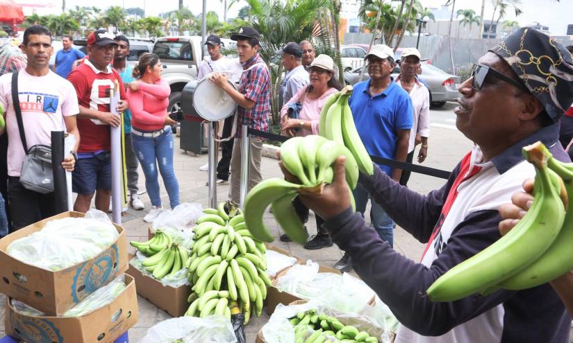 El pasado 1 de junio, pequeños y medianos productores bananeros realizaron un plantón en Guayaquil y pidieron eliminar la especulación.
