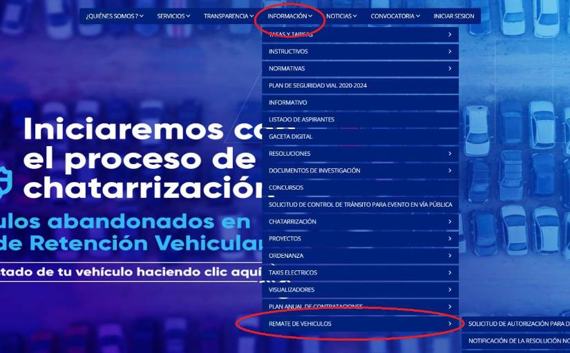 Captura de pantalla.