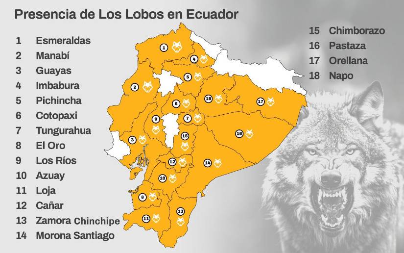 Los Lobos tienen fuerte presencia en al menos 18 provincias del Ecuador.