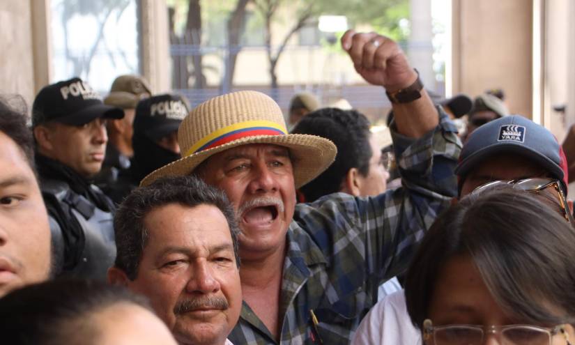 Agricultores de Guayas aseguran que no existe desabastecimiento de arroz y piden inspeccionar las grandes piladoras.