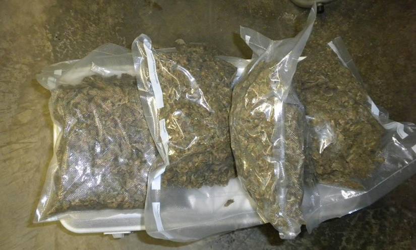 Decomisan 129 paquetes con marihuana escondidos en un auto en Tulcán
