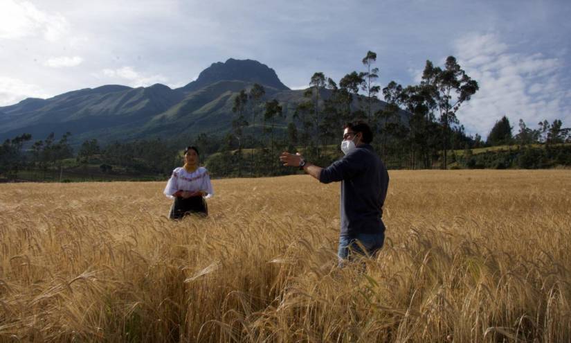 El 'teaser' de la película ecuatoriana 'Chuzalongo' fue proyectado en el festival de Cannes
