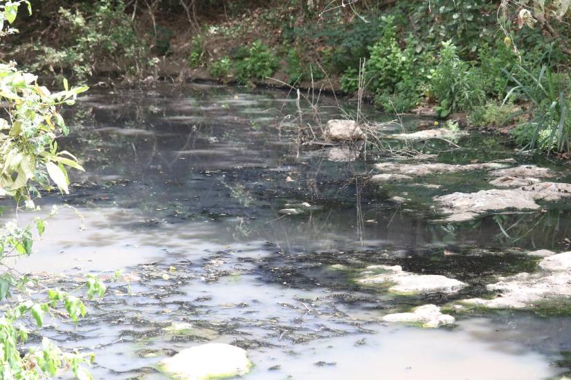 Habitantes de la comunidad Bajada de Chanduy denuncian contaminación de afluentes del río Negras