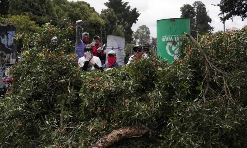 Los manifestantes miran desde una barricada de ramas de árboles durante las protestas contra las políticas económicas del presidente Guillermo Lasso en el centro de Quito, Ecuador, el viernes 24 de junio de 2022. (AP Foto/Dolores Ochoa)