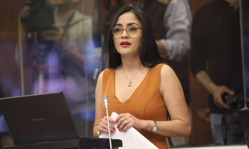 Viviana Muñoz fue la primera asambleísta que intervino en el Pleno.