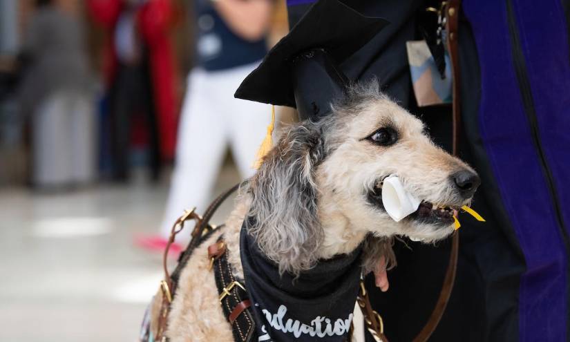 Kiera con su atuendo de graduación